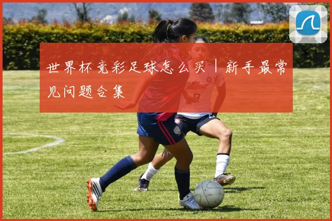 世界杯竞彩足球怎么买｜新手最常见问题合集