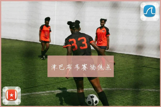 津巴布韦赛场焦点